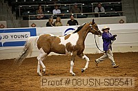 08usn-s05541 proof