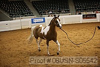 08usn-s05542 proof