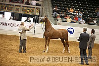 08usn-s05546 proof