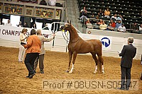 08usn-s05547 proof