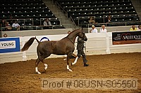 08usn-s05550 proof