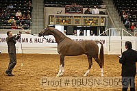 08usn-s05551 proof