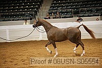 08usn-s05554 proof