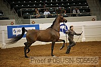 08usn-s05555 proof