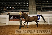 08usn-s05556 proof