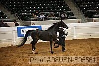 08usn-s05561 proof