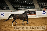 08usn-s05562 proof