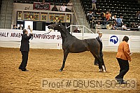 08usn-s05563 proof