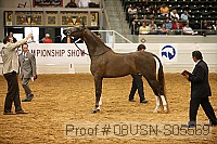 08usn-s05569 proof