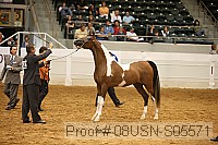 08usn-s05571 proof