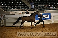 08usn-s05582 proof
