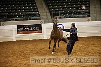 08usn-s05583 proof