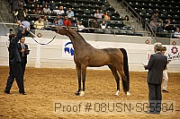 08usn-s05584 proof
