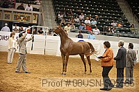 08usn-s05586 proof