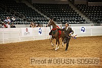 08usn-s05609 proof