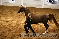 08usn-02569 proof
