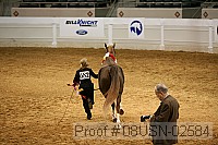 08usn-02584 proof