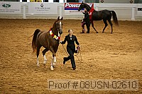 08usn-02610 proof