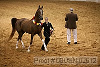 08usn-02612 proof