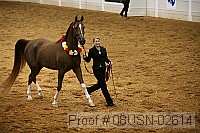 08usn-02614 proof