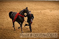 08usn-02615 proof