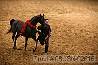 08usn-02616 proof