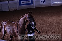 08usn-s02853 proof