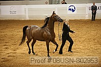 08usn-s02953 proof