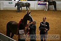 08usn-02554 proof