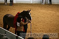 08usn-02555 proof