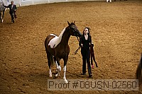 08usn-02560 proof
