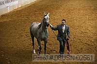 08usn-02561 proof