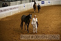08usn-02562 proof