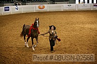 08usn-02566 proof
