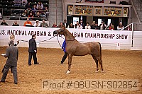 08usn-s02854 proof