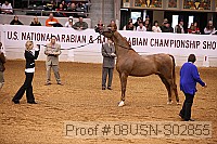 08usn-s02855 proof