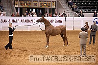 08usn-s02856 proof