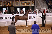 08usn-s02860 proof