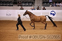 08usn-s02865 proof