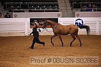08usn-s02866 proof