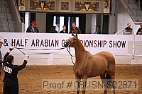 08usn-s02871 proof