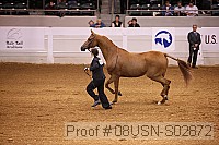 08usn-s02872 proof