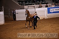 08usn-s02873 proof