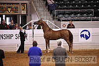 08usn-s02874 proof