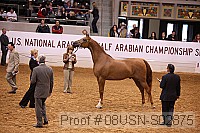 08usn-s02875 proof