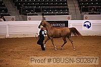 08usn-s02877 proof