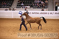08usn-s02879 proof