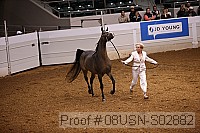 08usn-s02882 proof