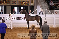 08usn-s02884 proof