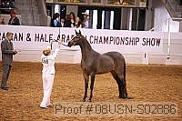 08usn-s02886 proof